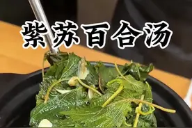 紫苏百合汤 紫苏百合汤 #为你煲汤  #广东靓汤  #紫苏百合功效与作用  #紫苏百合饮  #居然这么厉害 @DOU+上热门