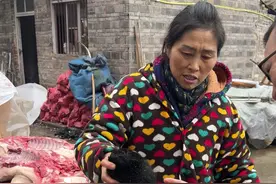 杀过年猪杀到一个猪神砂，他们说几十年才遇到一次。 #猪神砂#中药猪神砂