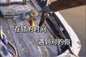 遇见就是缘分，相遇不一定有结局但一定有意义……#如果做不了夫妻#音乐分享视频封面