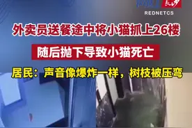 10月25日，长沙饿了么外卖员在送餐时，将小区一只流浪猫强行拖进电梯，随后从26楼抛下，猫咪当场死亡。视频封面