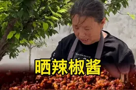 连着两天阴雨天，正是捂霉黄豆的时候，喜欢晒酱的朋友们这个时候可以烀豆子捂霉豆子了，捂出来的豆子不论是像视频中晒辣椒酱，还是晒西瓜酱都特别好吃#辣椒酱 #我的乡村生活 #又到河南人做西瓜酱豆的季节 #新农人计划2025 #抖音美食创作者