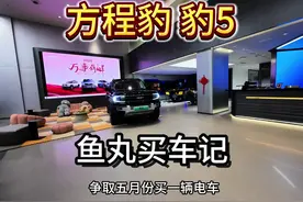 争取5月买电车，去看了方程豹 豹5，感觉很大一只。#方程豹视频封面