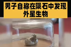男子自称在陨石中发现外星生物，视频疯传引发热议，这究竟是科学发现还是恶作剧？#每日分享 #热点 #科普知识 @抖音短视频 @DOU+小助手 #创作者中心 #创作灵感