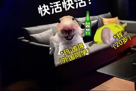 在国外，中国人的年龄有多难辨别？#猫meme#搞笑#年龄差#内容过于真实