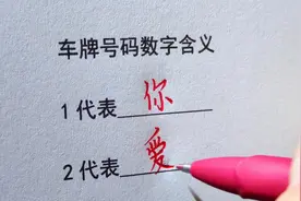 车牌号码数字含义你知道吗？ #手写#车牌号的含义视频封面