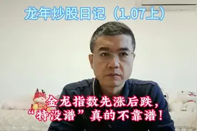 金龙指数先涨后跌，“特没谱”真的不靠谱！#炒股小散户#炒股经历视频封面