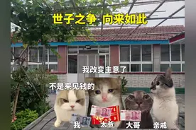 世子之争向来如此#猫meme小剧场 #内容过于真实 #万万没想到视频封面