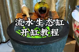 把家里没人理的古法缸拿来改造一下，做一口流水造景鱼缸，放在客厅里，美观又实用#新手养鱼开缸日记 #生态缸 #鱼缸造景还能这么玩