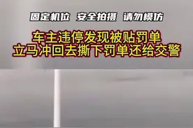 违停被罚教你一招免罚 #带你懂车 #每天一个用车知识 #新手上路 #用车知识 #违停免罚款视频封面