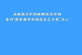 #海南槟榔  #海南定安  #粮食安全  #退林还耕  农业政策反思视频封面