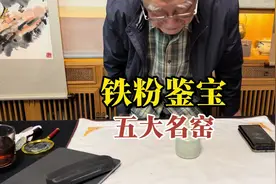 铁粉藏友鉴宝，拿不准真假，杨实老师鉴定讲解 #鉴宝 #藏品 #古玩视频封面