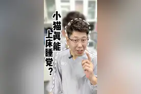 千万别让小猫上床睡，小猫上床睡的2点危害，以及注意的风险#新手养猫 #养猫经验分享 #寄生虫 #驱虫视频封面