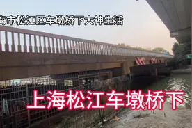 上海松江车墩，这边日租隔板拆迁房费贵，大神常年睡在桥下视频封面