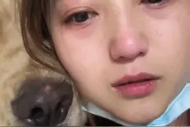 养狗不是犯法的事 为什么要被指责和唾弃 我的小狗很乖不吵不闹 为什么要举报它是恶犬 为什么要说它咬人 😭 #被我的小狗治愈了 #双血统金毛 #金毛 #哈喽啊小金毛 #动物保护法