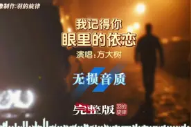 方大树《我记得你眼里的依恋》完整版MV视频封面