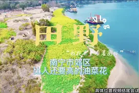南宁市郊区比人还高的油菜花田，风景美如画。打卡具体位置如下视频封面