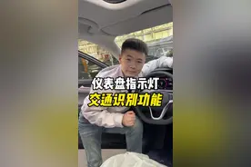 仪表盘指示灯交通识别功能，还不会的快学起来，仪表盘指示灯保姆级教程#新手上路 #带你懂车 #汽车知识 #仪表盘 #用车妙招视频封面
