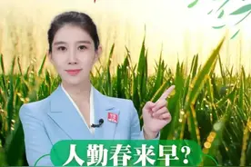 #三农快评 人勤春来早？方法得对视频封面
