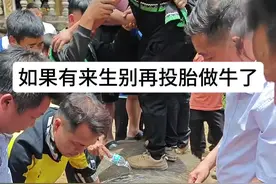 台江反排第一架对碰 后续 百块钱两斤 #小强斗牛直播#斗牛 #贵州斗牛 #内容启发搜索