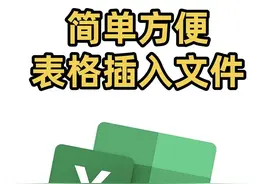 如何在表格中插入文件❗️ #Excel #办公技巧 #文员  #抖音职业技术学院视频封面