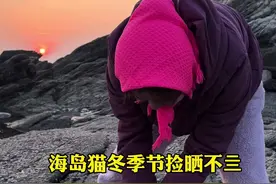 带你们看看，海岛猫冬季节的海边，赶海又掏回来了什么大货，让丽莎直呼又鲜又香#海边生活 #赶海 #记录真实生活