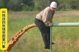 AI 挑战错觉图 77 #错位图 #视觉错觉 #ai生成视频 #人类迷惑行为 #大开眼界系列视频封面