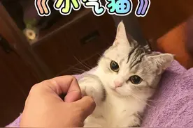 这小猫咪咋和人一样小气？#万物可爱计划 #猫咪的迷惑行为