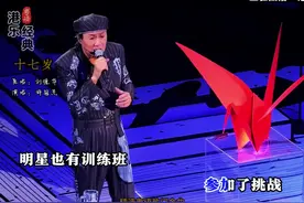 那年我们十七岁，风华正茂，我们什么都没有，但是很快乐视频封面