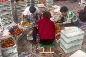 第一次到烟台张格庄大樱桃市场，今年的价格有点高啊