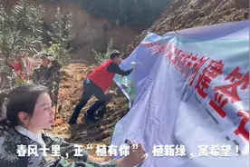 春风催新绿。植绿正当时。视频封面