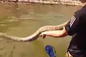 #变声 这过山峰目测3.5米左右视频封面