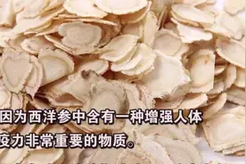 用西洋参泡水有什么好处？常喝西洋参水，四大好处找上你！#健康视频封面