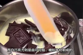 #治愈系美食 #甜品控 #巧克力 白巧克力和黑巧克力的区别视频封面