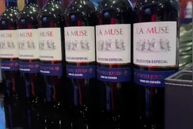 感谢我的专属摄影师 给我留下美好的回忆视频封面