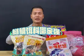 《鲢鳙饵料哪家强》第一篇：新版vs老版天元邓刚浮钓鲢鳙。视频封面