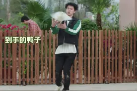 十个勤天养的动物都活泼且折磨人#十个勤天 #疯狂动物城