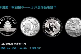 盘点中国的铂金币#铂金币 #铂金投资#我要上热门视频封面