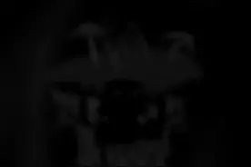 level999-虚空之岛#backrooms #后室