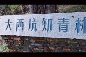 零碎的记忆，铭记着那段不堪回首的爱情#老房子的回忆 #铭记历史视频封面