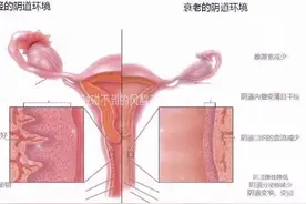 SY生殖抗衰项目 🌸 🌸 SY疗法激活性腺轴，平衡内分泌视频封面