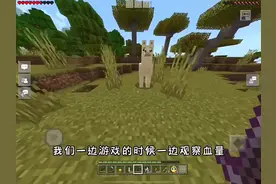 #我的世界 老玩家设置