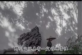 庭院石头摆放的讲究#庭院景观 #景观石视频封面