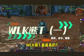 WLK熊T（一）防等、命中、精准#魔兽世界 #魔兽世界怀旧服视频封面