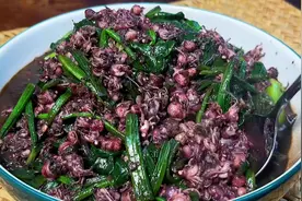 只有这个季节有的墨鱼豆，青岛人都这样吃，还可以炒什么视频封面