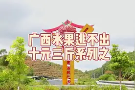 夏天的美味在于它是灵山荔枝味的。广西人的荔枝来咯!#三农视频封面