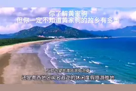 你了解黄家驹，但你一定不知道黄家驹的故乡有多美。#音乐视频封面