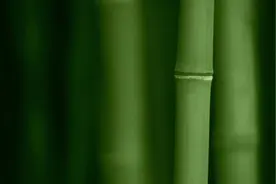 《道德经》是否为老子一人在函谷关所写视频封面