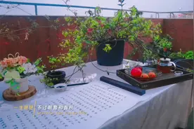 孩的生日，娘的苦日。今日不能到寺庙烧香祈福，在家抄经吃素视频封面