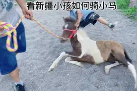 新疆小孩教你如何骑马。#骑马  #萌宠 #萌宠出道计划