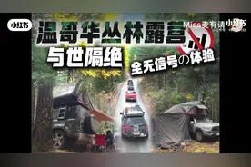 爸爸带着孩子们去森林温泉露营，与世隔绝，全无信号的体验。视频封面